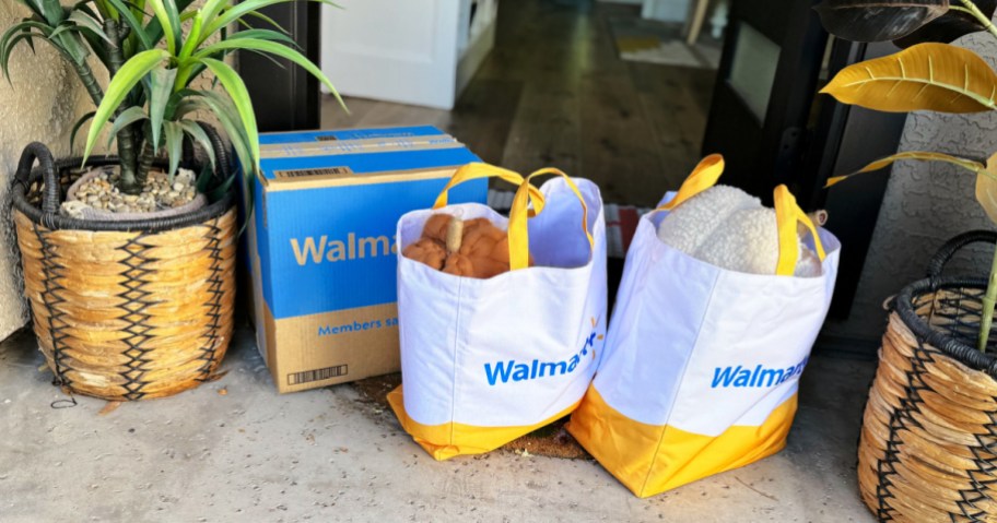 walmart plus delivery in bags on a doorstep