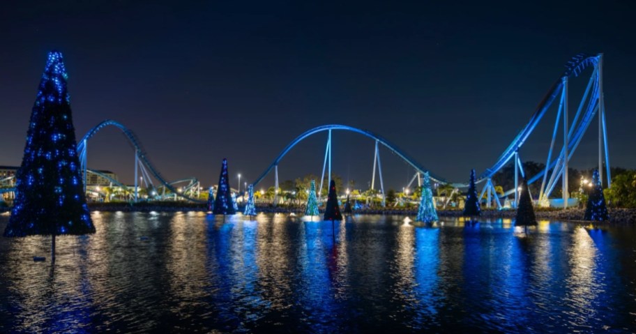 a view of SeaWorld roller coasters at night over the water with blue and white holiday lights and Christmas trees all around