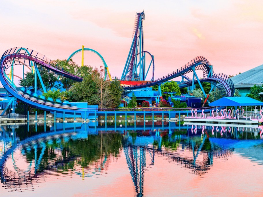 roller coaster near water at SeaWorld Orlando park