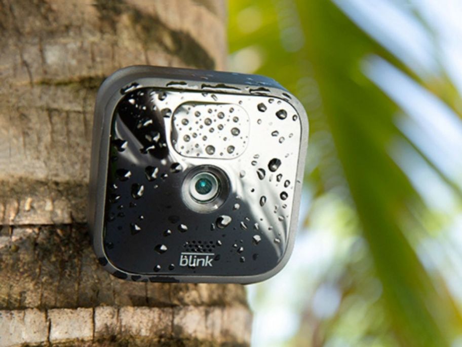 blink security camera mounted on a tree