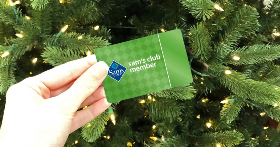 hand holding a Sam's Club membership card in front of Christmas tree