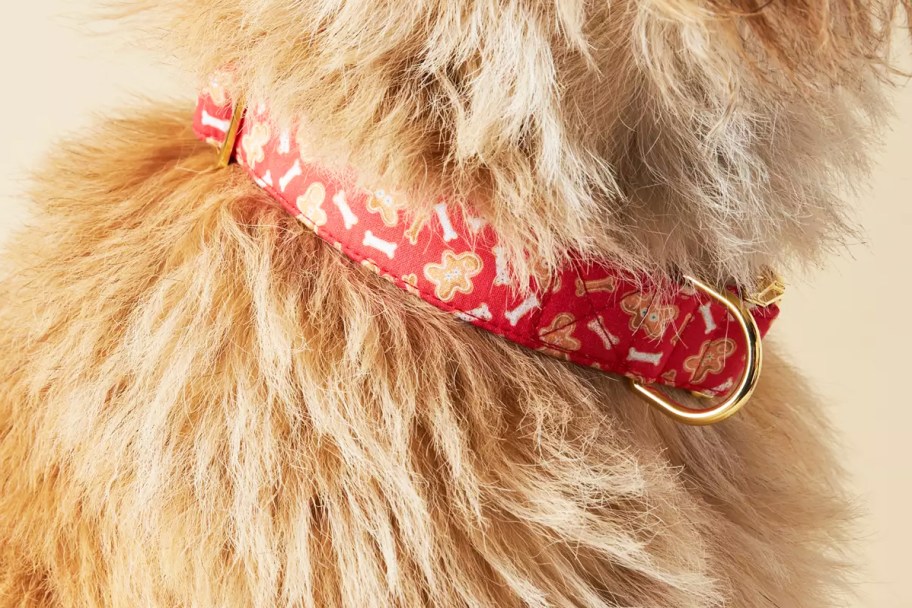 dog wearing a red gingerbread man print collar