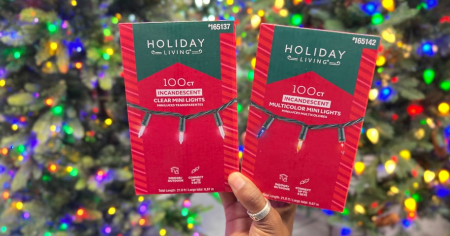 Person holding up boxes of holiday, living Christmas lights in front of a lit Christmas tree inside Lowe's