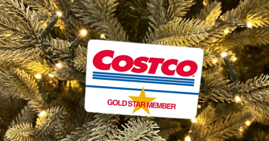 costco gold star membership card in christmas tree