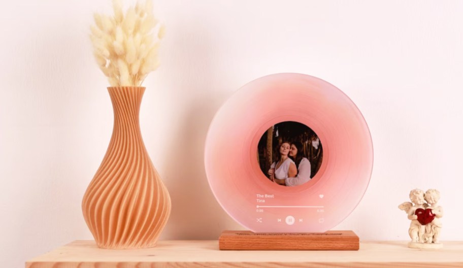 pink vinyl record with photo inside on a shelf