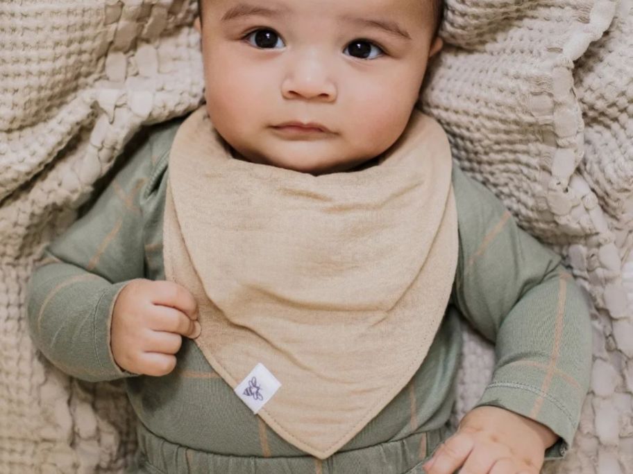 Baby wearing a Burt's Bees Baby Bandana Bib