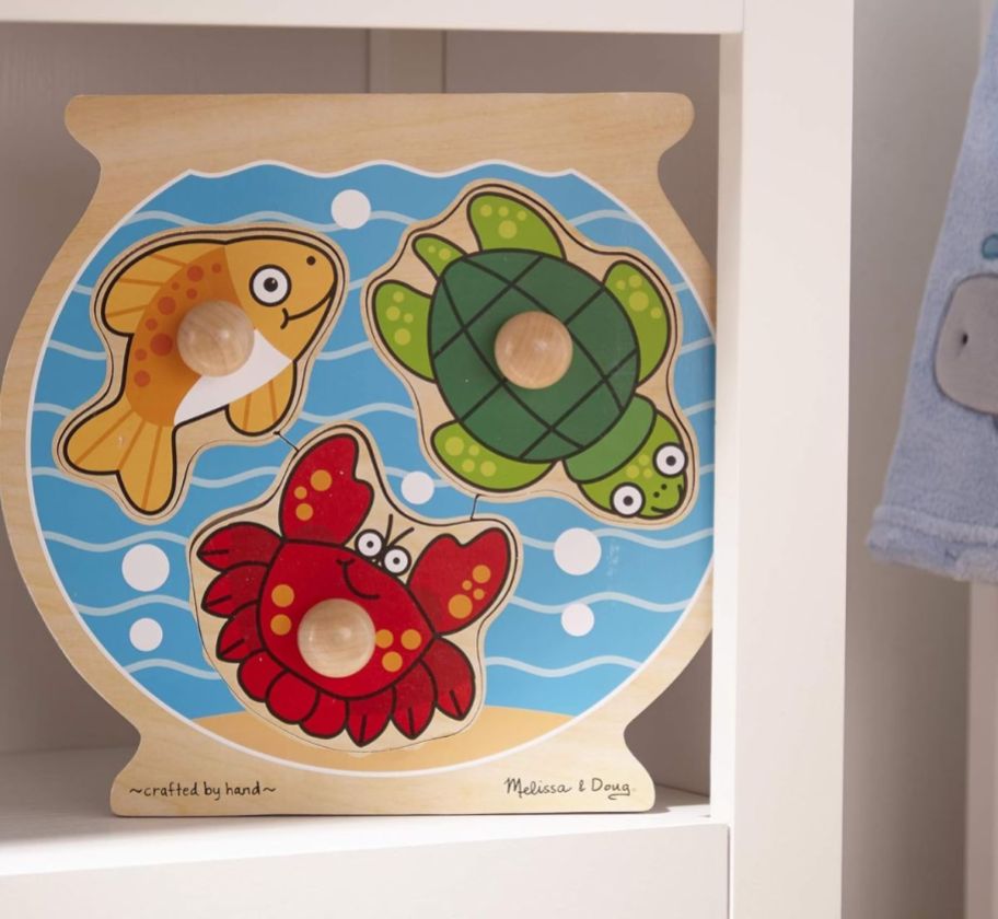 a wooden fishbowl puzzle on a book shelf