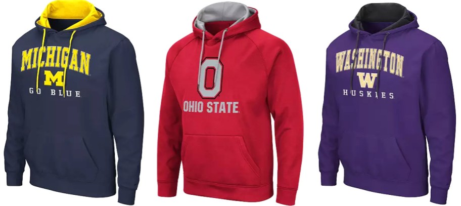 michigan, ohio, and washinginton state hoodies