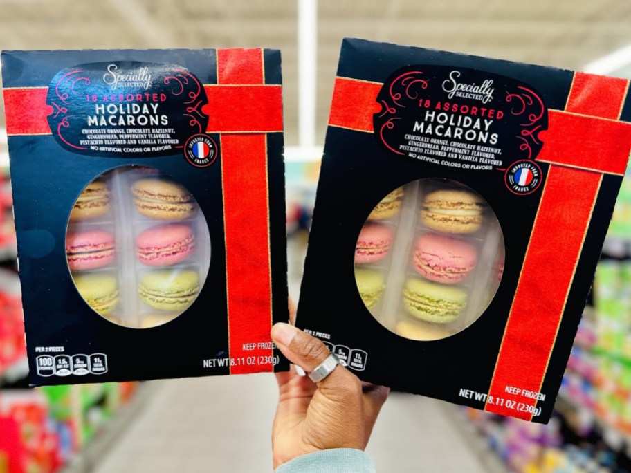 hand holding two boxes of holiday macarons 