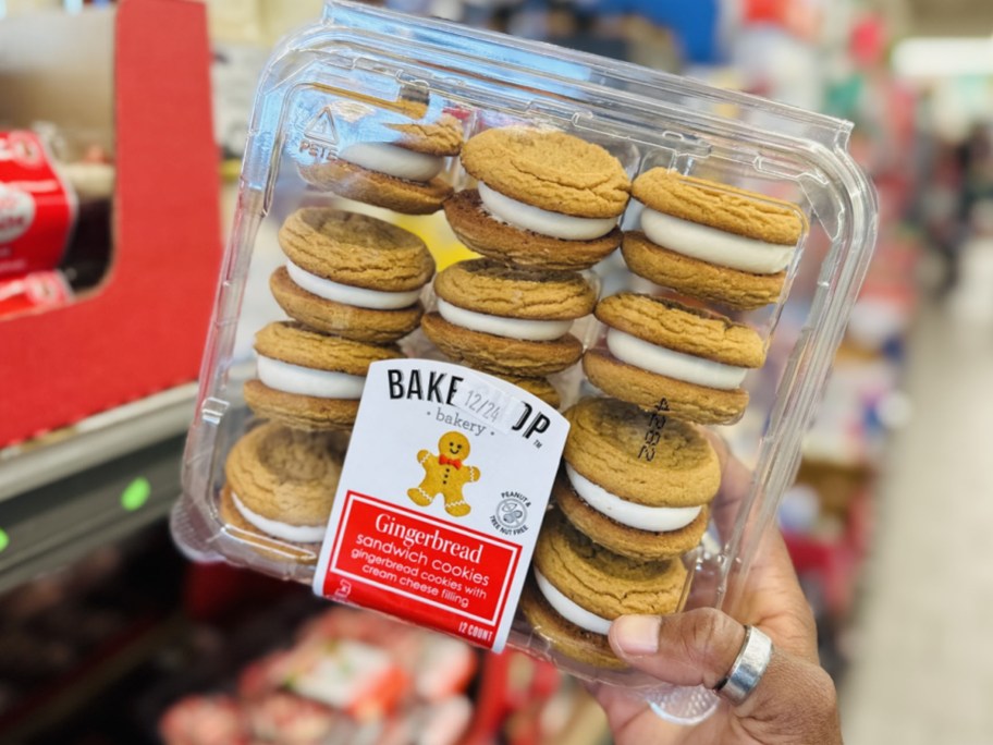 hand holding box of gingerbread cookies