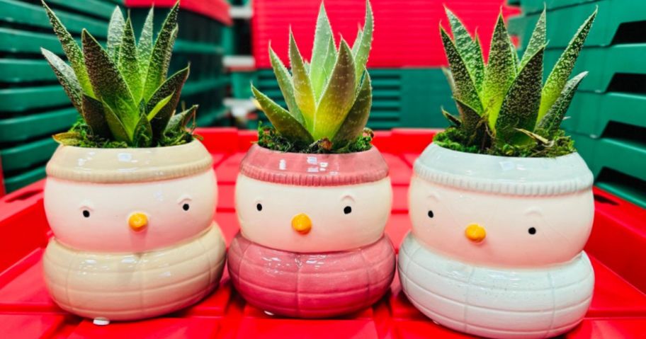 3 Lowe's Snowman Planters with Succulent Plants