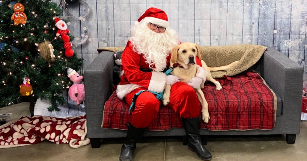 dog posting next to santa for pic