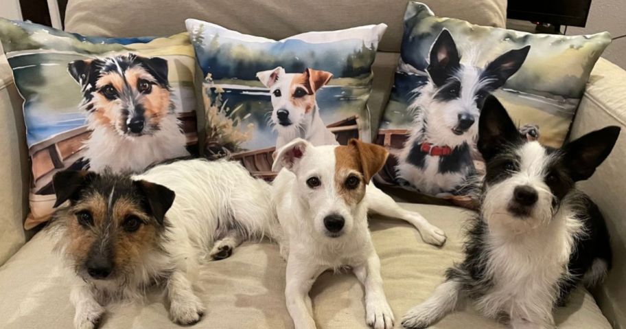 3 Dogs in front of pillows with AI generated images of them on them