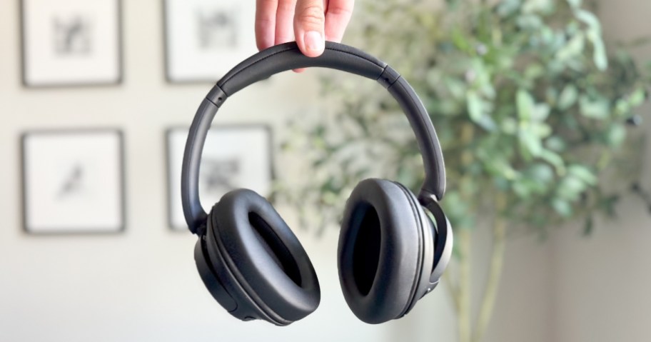 hand holding a pair of black Sony headphones with cushioned ear covers, wall with photos and plant behind it