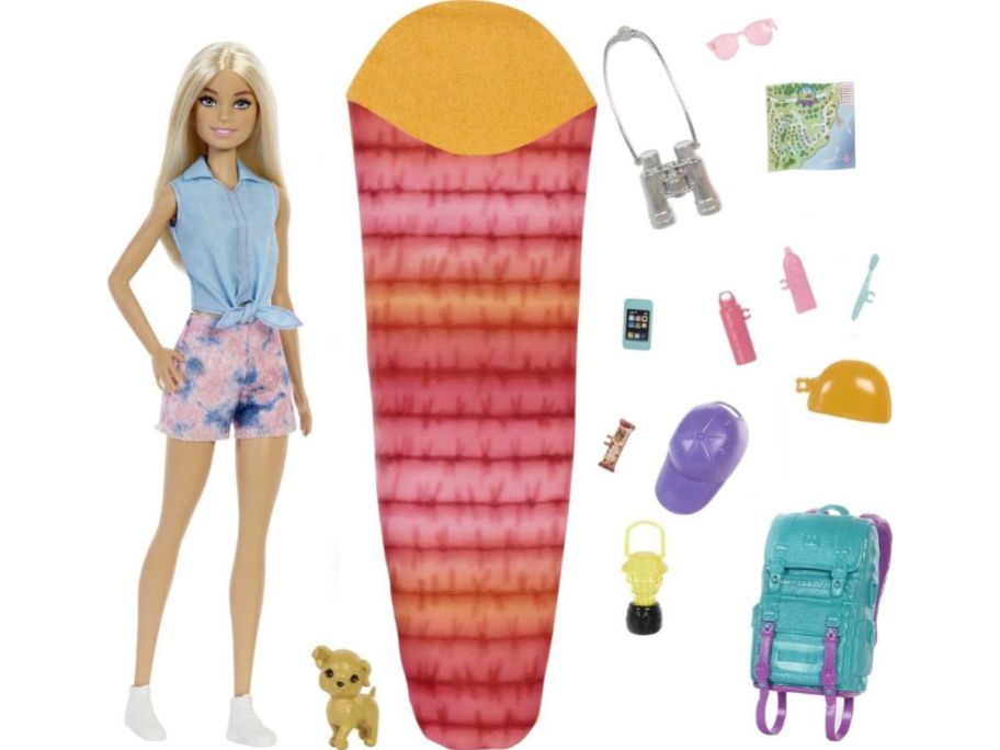 Barbie with Camping Accessories