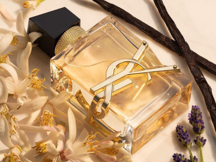 A bottle of Yves Saint Laurent Libre EDP next to Vanilla beans