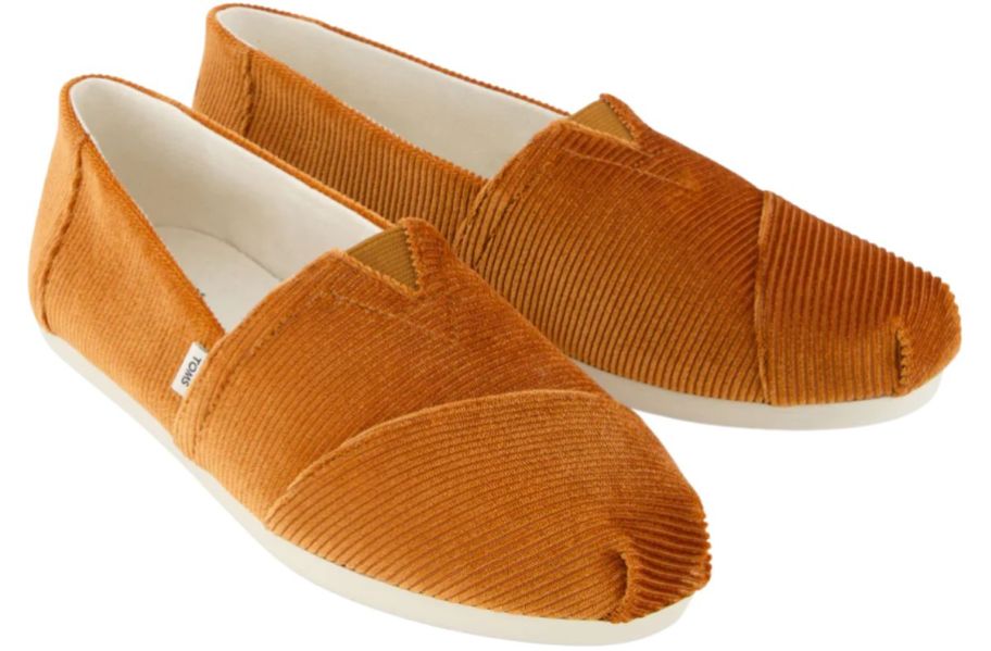 brown corduroy TOMS alpargatas stock image 