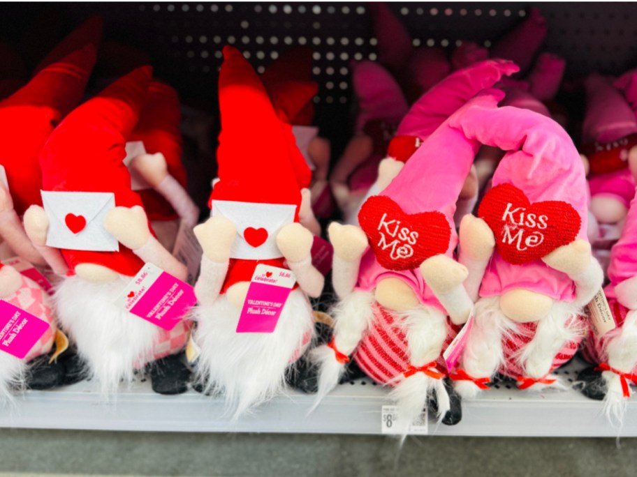 Way To Celebrate Valentine's Day gnomes