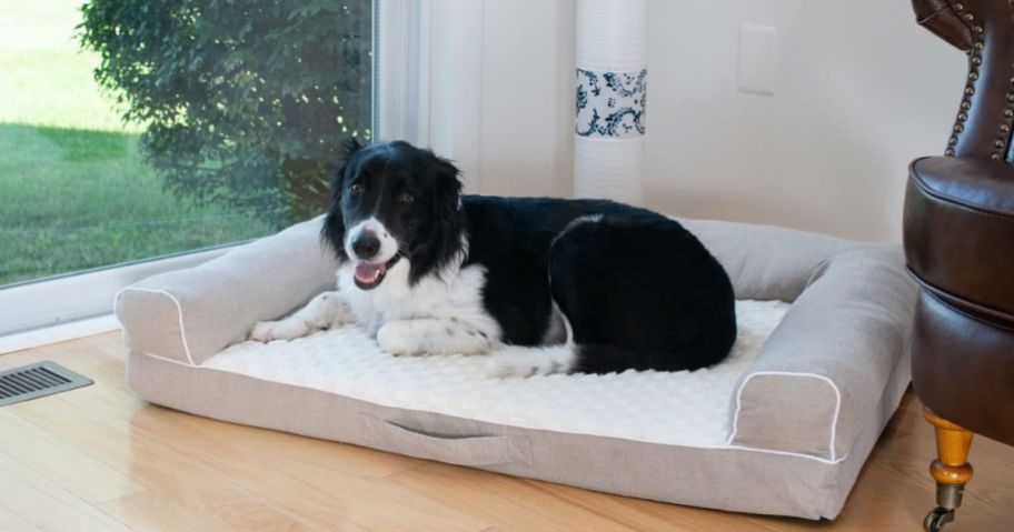 A dog resting on an Armarkat Memory Foam Dog Bed