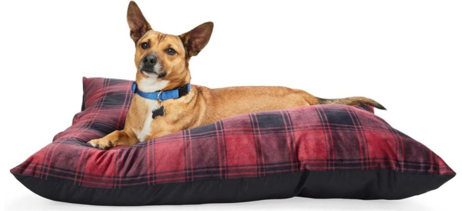 A sweet dog sitting on a plaid EveryYay Essentials Pillow Dog Bed