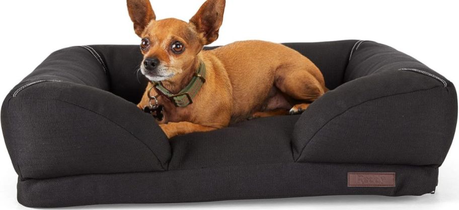 Reddy IndoorOutdoor Dog Bed