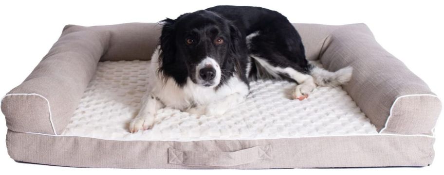 A dog resting on an Armarkat Memory Foam Dog Bed