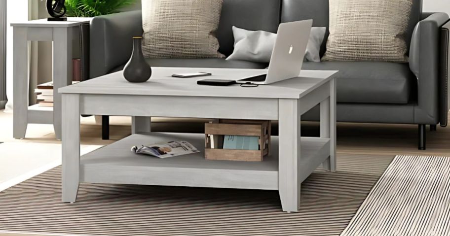 Weddel Basilico Coffee Table w Storage