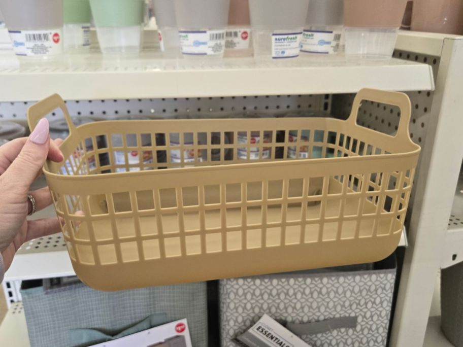 Basket w/ Handles in hand in store