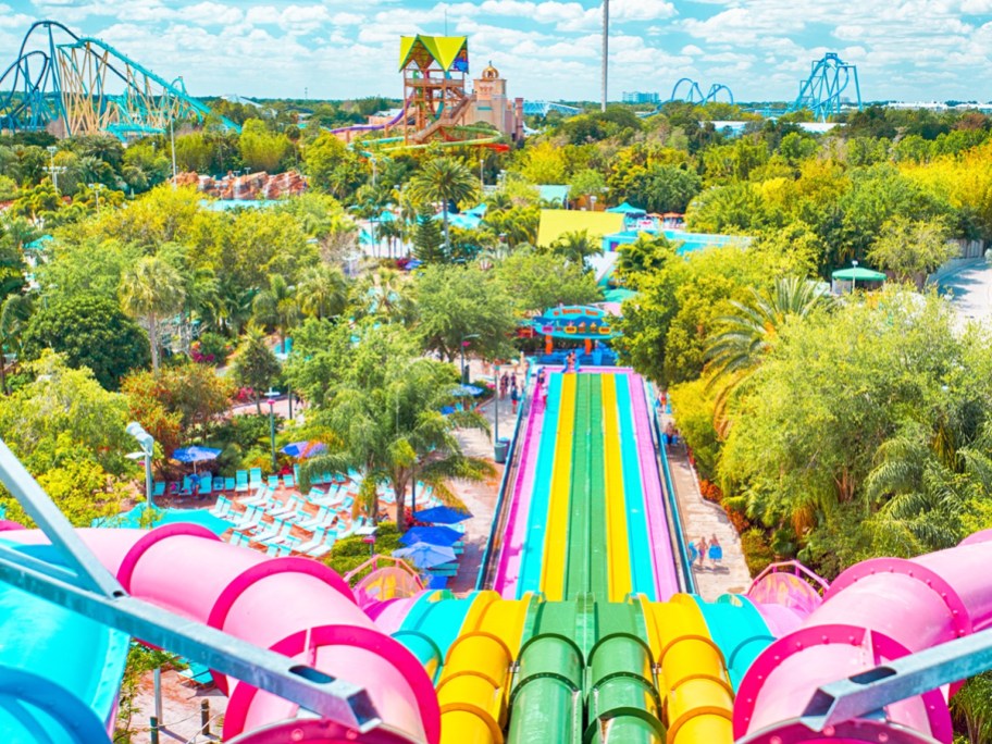 colorful water slides at Aquatica Orlando