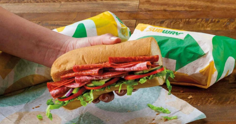 person holding up Subway sandwich