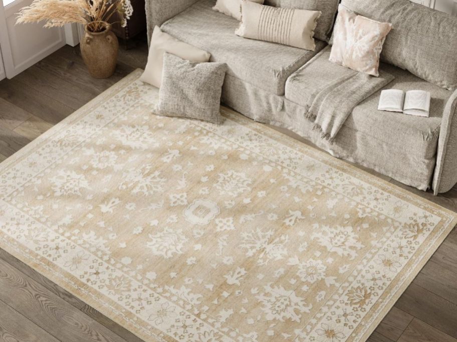 jinchan 4 x 6 Area Rug in Vintage Taupe in living room