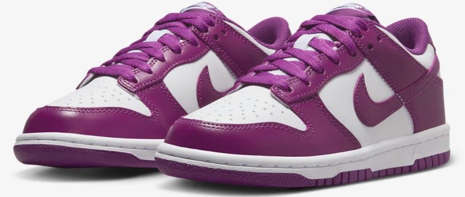 Nike Dunk Low Big Kids Shoes