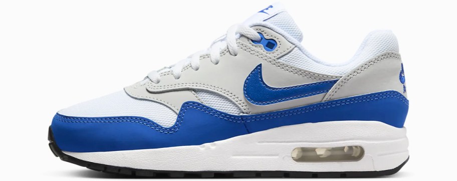 blue and white nike sneaker