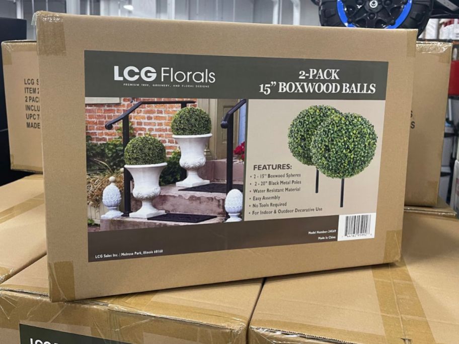 LCG Florals 2-Pack Boxwood