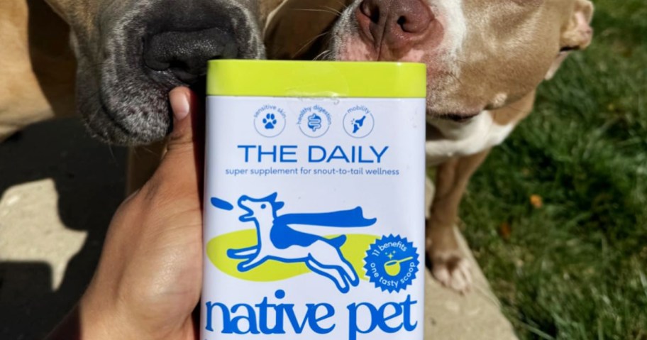 can of Native Pet The Daily supplement being smelled by two dogs