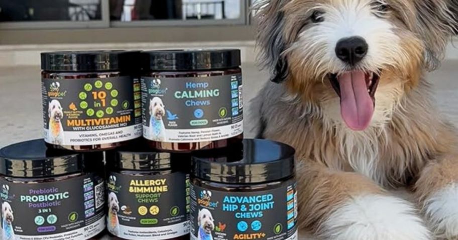 Googipet Supplements stacked next to a happy dog