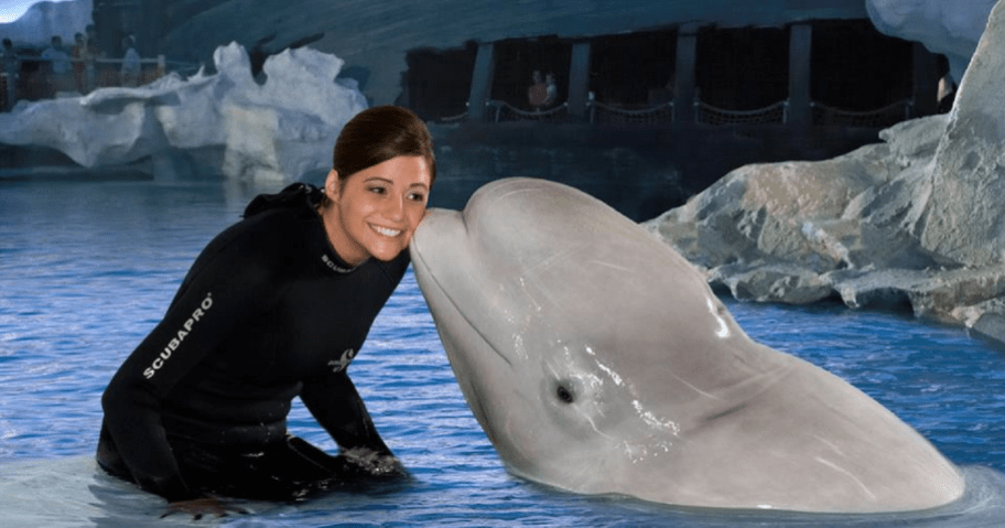 A whale kissing a trainer at Sea World