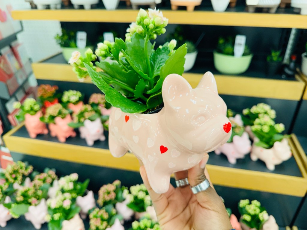 Person holding up pink Frenchie glass planter with red hearts