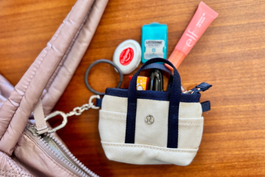 nano tote with lip balm gum and more