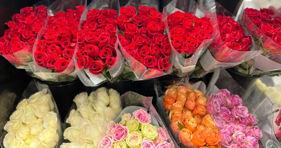 Costco Roses