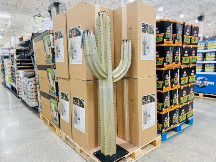 Desert Steel Saguaro Cactus 5' Garden Torch