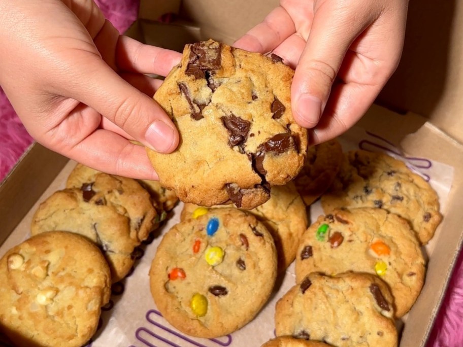 hands holding a chocolate chip cookie