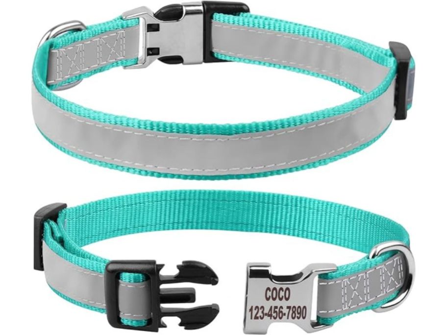 2 blue and gray dog collars