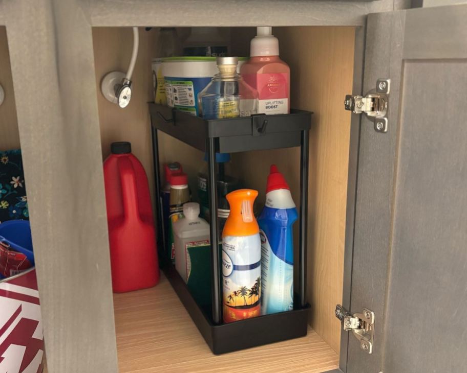 cabinet organizer with cleaning products inside