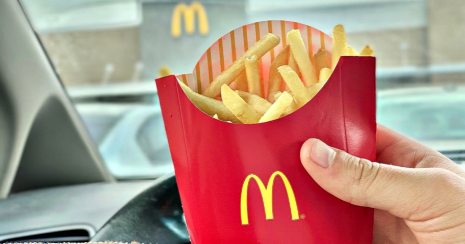 hand holding McDonald's french fries in car