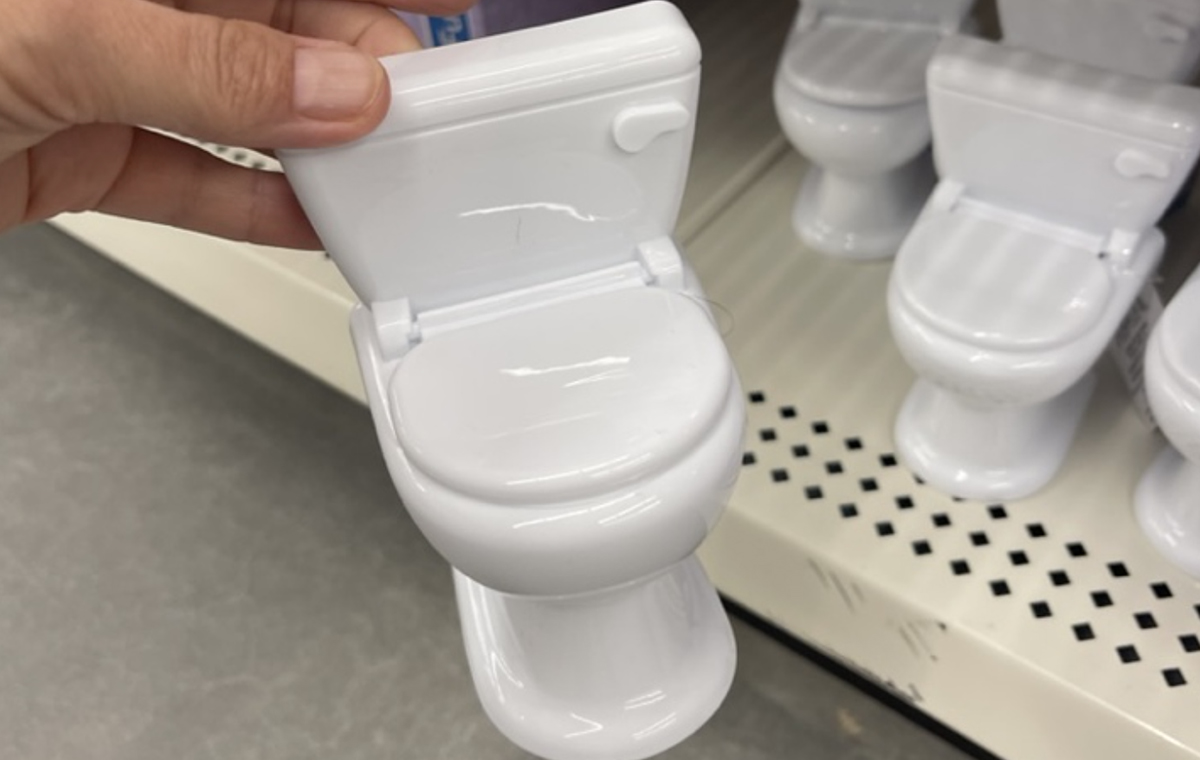 a plastic toilet from Dollar tree, one of the Barbie Accessories and toys you can buy for $1.25