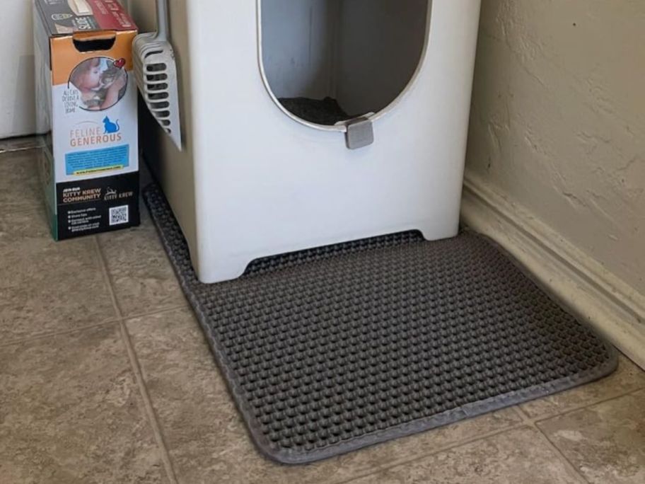 A cat litter mat in front of a litter box