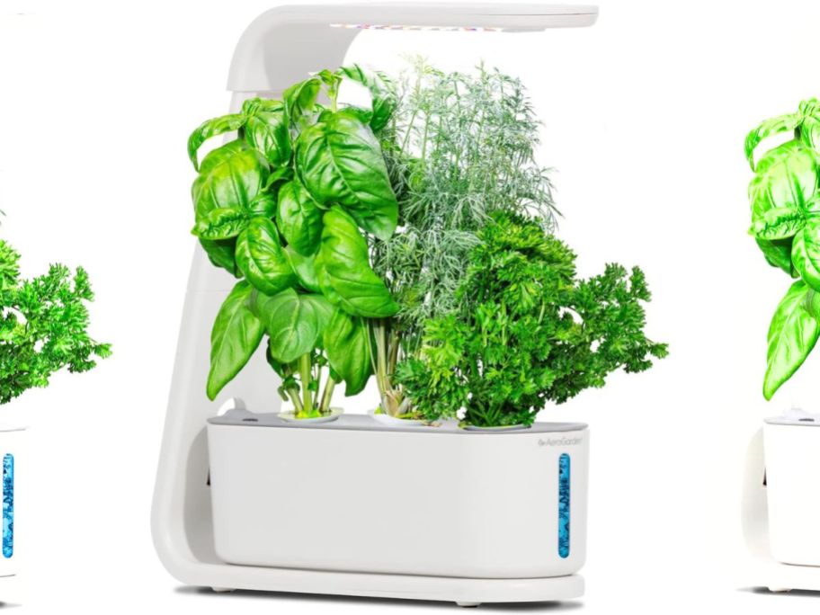 AeroGarden Sprout Indoor Garden stock image