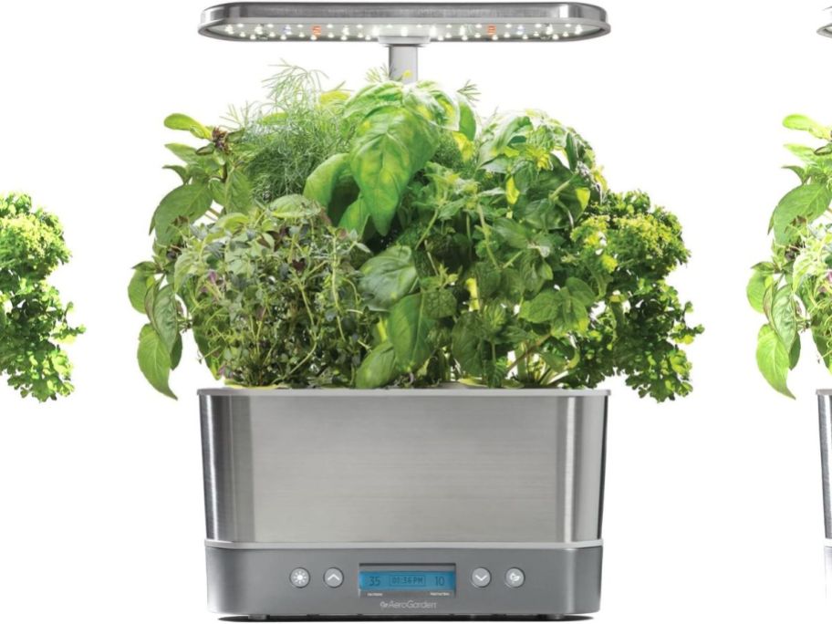 AeroGarden Harvest Elite Indoor Garden stock image