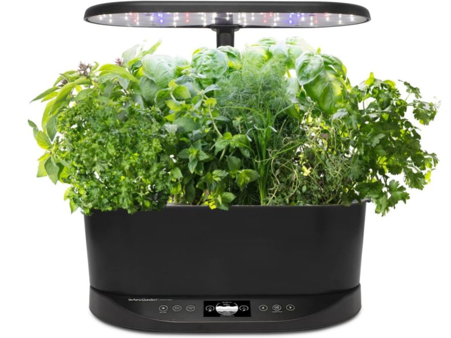 AeroGarden Bounty Basic Indoor Garden stock image